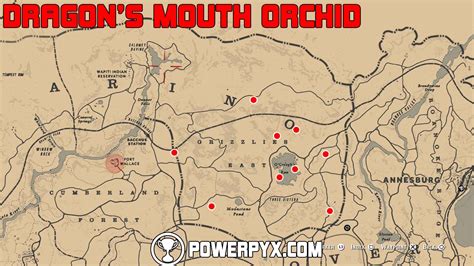 I happen to only have 2. . Dragons mouth orchid rdr2